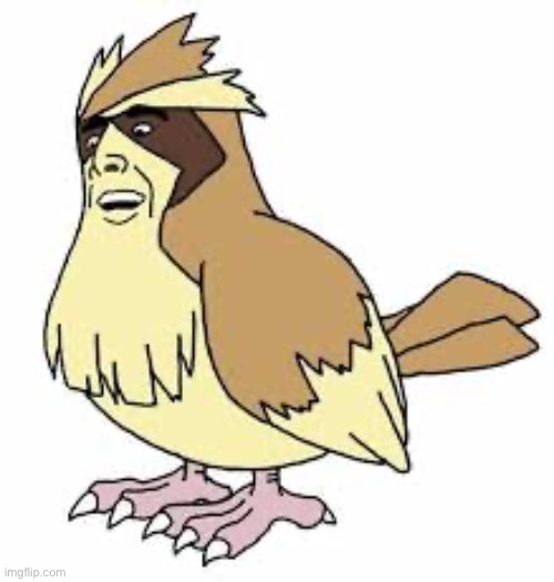 image tagged in handsome pidgey,pokemon | made w/ Imgflip meme maker