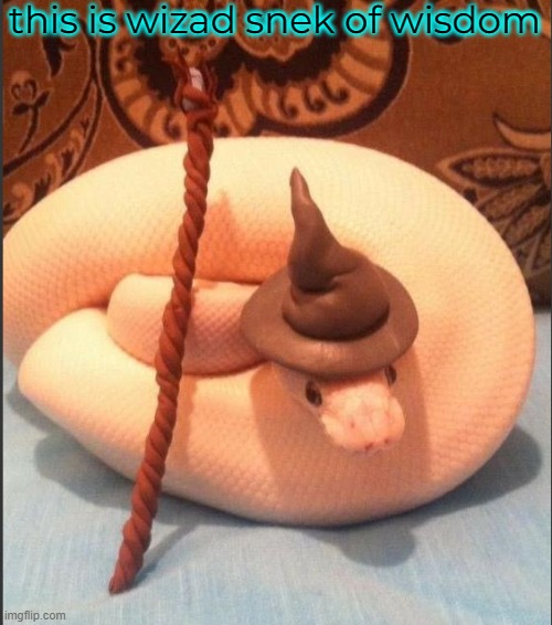 this is wizad snek of wisdom | made w/ Imgflip meme maker