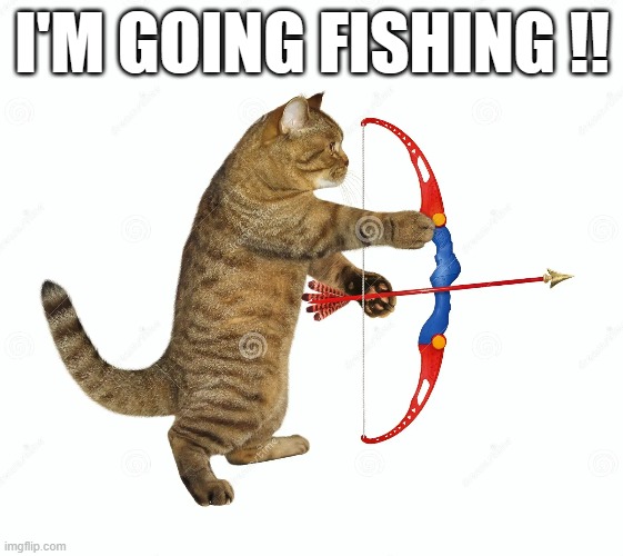 meme by Brad cat going fishing | I'M GOING FISHING !! | image tagged in cats,funny,funny cat memes,fishing,bow and arrow,humor | made w/ Imgflip meme maker