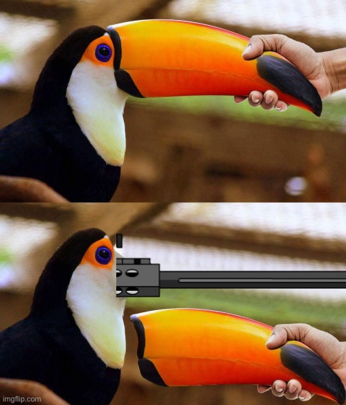 Toucan Beak | image tagged in toucan beak | made w/ Imgflip meme maker
