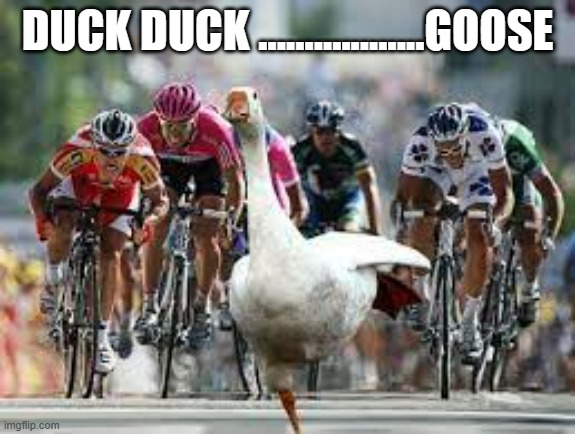 memes by Brad Duck duck goose | DUCK DUCK ..................GOOSE | image tagged in funny,duck,sports,funny meme,bicycle,humor | made w/ Imgflip meme maker