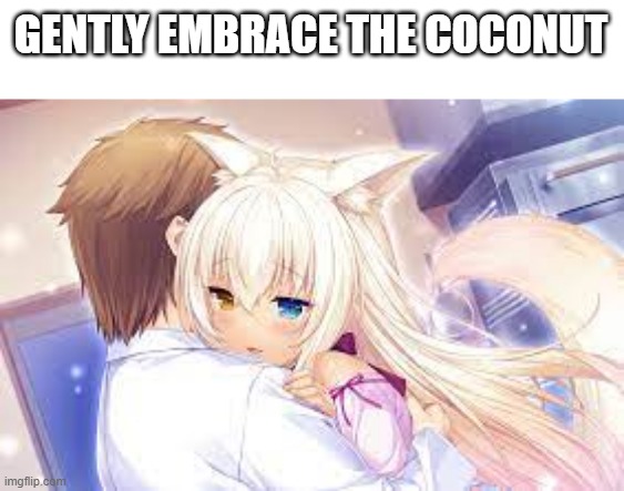 now to find a lime... | GENTLY EMBRACE THE COCONUT | image tagged in nekopara | made w/ Imgflip meme maker