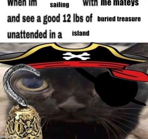 Pirate | image tagged in sailing,pirate,pirates,reposts,repost,memes | made w/ Imgflip meme maker
