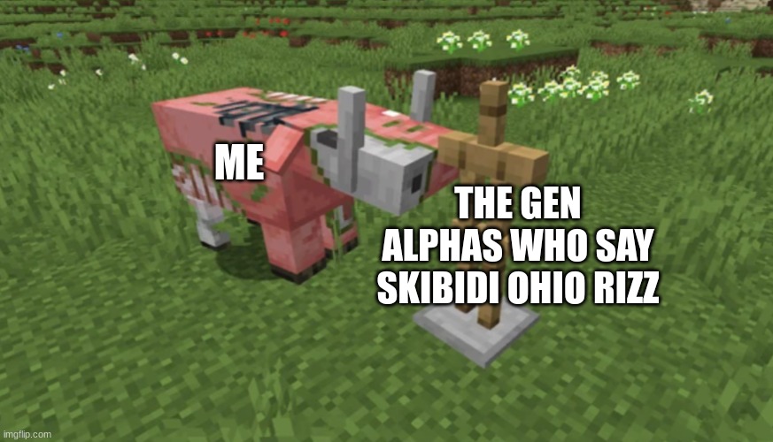 ME; THE GEN ALPHAS WHO SAY SKIBIDI OHIO RIZZ | image tagged in zoglin attacking armor stand,memes,funny,gen alpha,will smith slap | made w/ Imgflip meme maker
