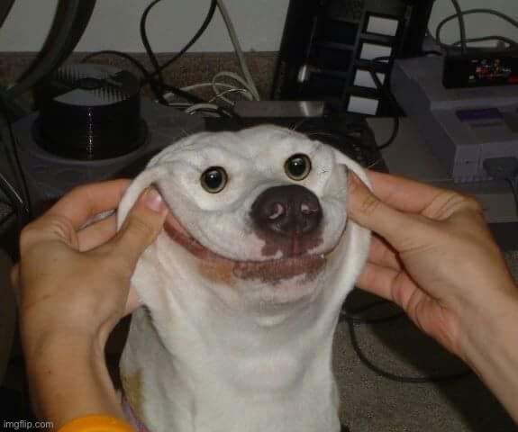 Happy | image tagged in happy face k-9 | made w/ Imgflip meme maker