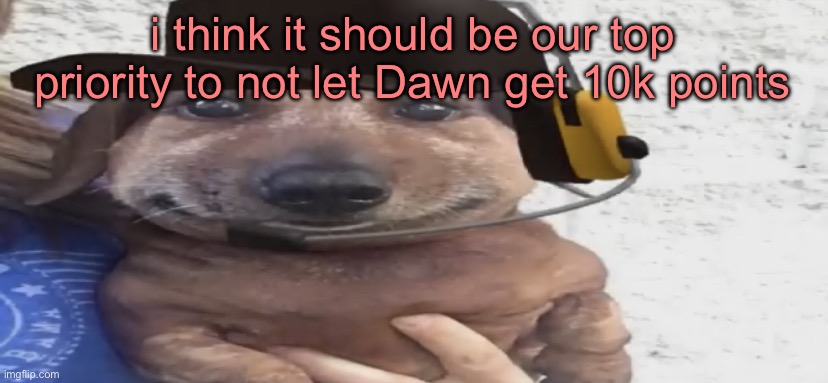 chucklenuts | i think it should be our top priority to not let Dawn get 10k points | image tagged in chucklenuts | made w/ Imgflip meme maker