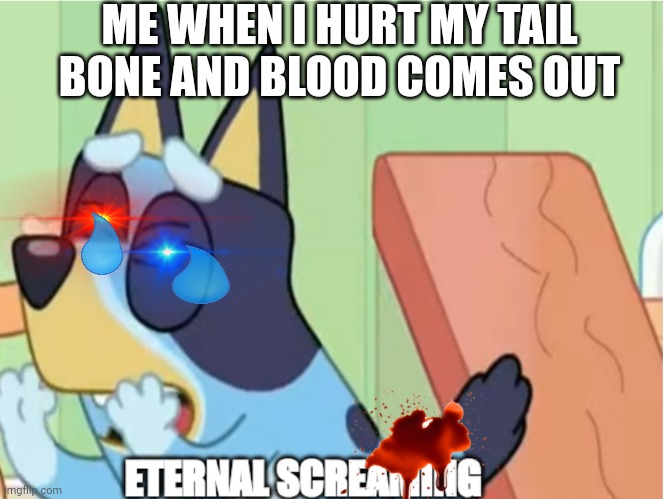 It huuuuuurts!!!!!!!!!!! | ME WHEN I HURT MY TAIL BONE AND BLOOD COMES OUT | image tagged in bluey eternal screaming | made w/ Imgflip meme maker