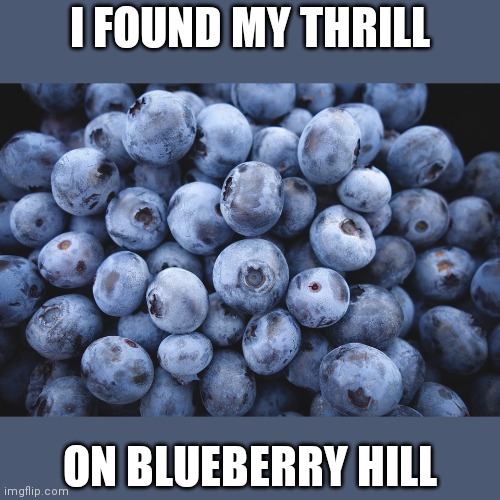 Found my thrill on Blueberry Hill | I FOUND MY THRILL; ON BLUEBERRY HILL | image tagged in blueberries,funny memes | made w/ Imgflip meme maker