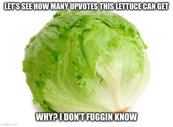 Lettuce incident v2 | LET’S SEE HOW MANY UPVOTES THIS LETTUCE CAN GET; WHY? I DON’T FUGGIN KNOW | image tagged in lettuce | made w/ Imgflip meme maker