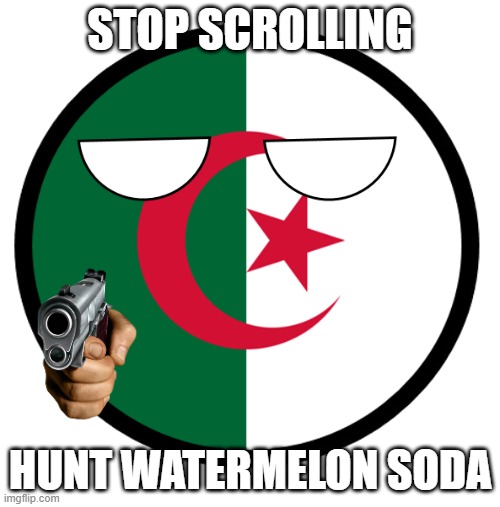Algeria | STOP SCROLLING; HUNT WATERMELON SODA | image tagged in algeria | made w/ Imgflip meme maker