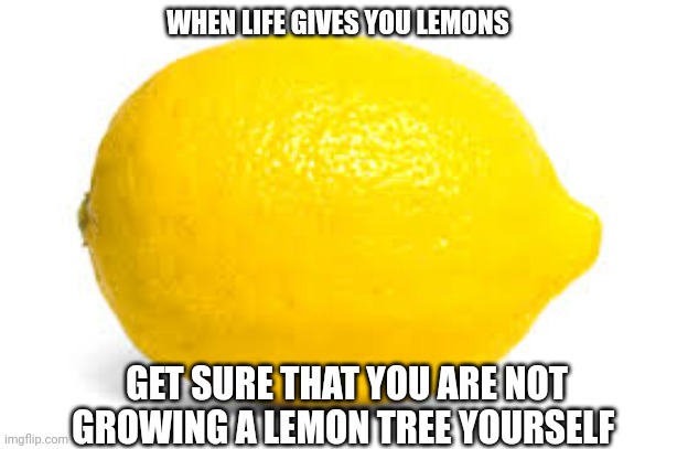 When life gives you lemons, X | WHEN LIFE GIVES YOU LEMONS; GET SURE THAT YOU ARE NOT GROWING A LEMON TREE YOURSELF | image tagged in when life gives you lemons x | made w/ Imgflip meme maker