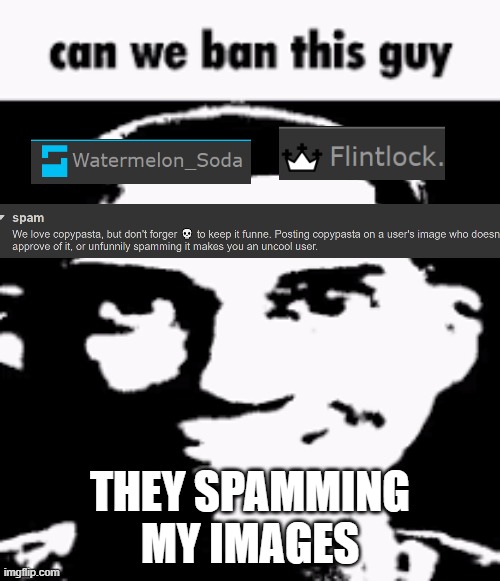 Can we ban this guy | THEY SPAMMING MY IMAGES | image tagged in can we ban this guy | made w/ Imgflip meme maker