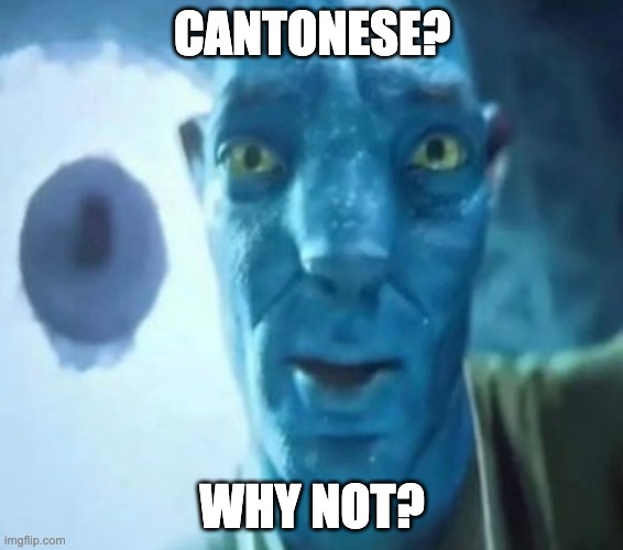 Avatar guy cantonese | CANTONESE? WHY NOT? | image tagged in avatar guy | made w/ Imgflip meme maker