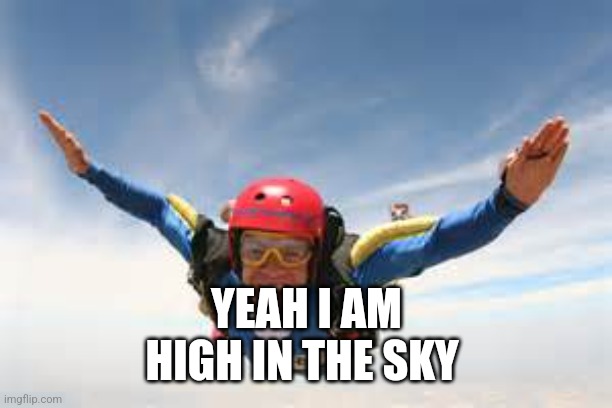 skydiving | YEAH I AM
HIGH IN THE SKY | image tagged in skydiving | made w/ Imgflip meme maker