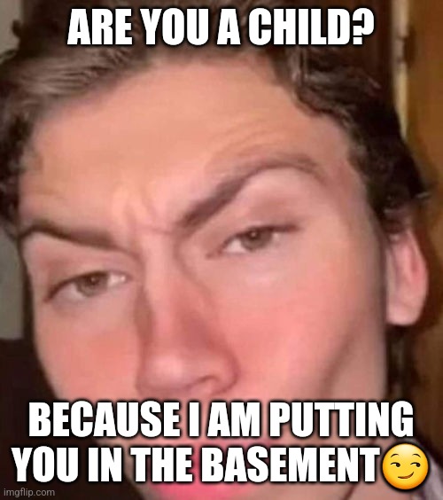 Rizz | ARE YOU A CHILD? BECAUSE I AM PUTTING YOU IN THE BASEMENT😏 | image tagged in rizz | made w/ Imgflip meme maker