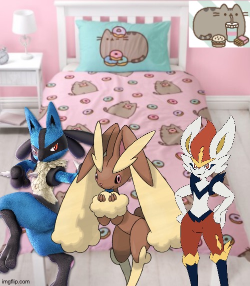 Lucario,Lopunny and Cinderace having fun in their Pusheen the cat themed hotel room | image tagged in pusheen the cat themed hotel room,pokemon,pusheen,crossover | made w/ Imgflip meme maker