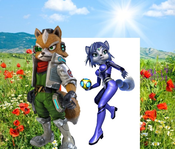Fox and Krystal enjoying a romantic moment at the beautiful landscape | image tagged in poetic landscape,star fox | made w/ Imgflip meme maker