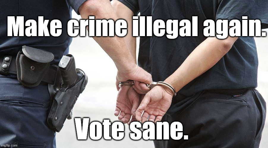 Vote SANE. | Make crime illegal again. Vote sane. | image tagged in republican,crime,common sense | made w/ Imgflip meme maker