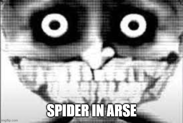 MIBU Phase 29 | SPIDER IN ARSE | image tagged in mibu phase 29 | made w/ Imgflip meme maker