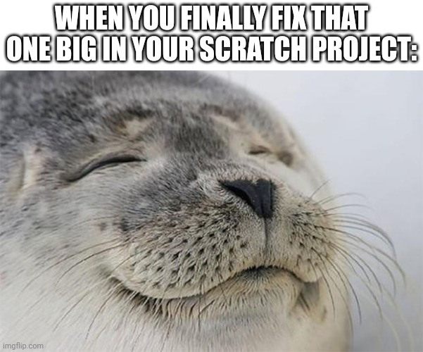 It's super satisfying (I SWEAR - Spiral) | WHEN YOU FINALLY FIX THAT ONE BIG IN YOUR SCRATCH PROJECT: | image tagged in memes,satisfied seal,scratch | made w/ Imgflip meme maker