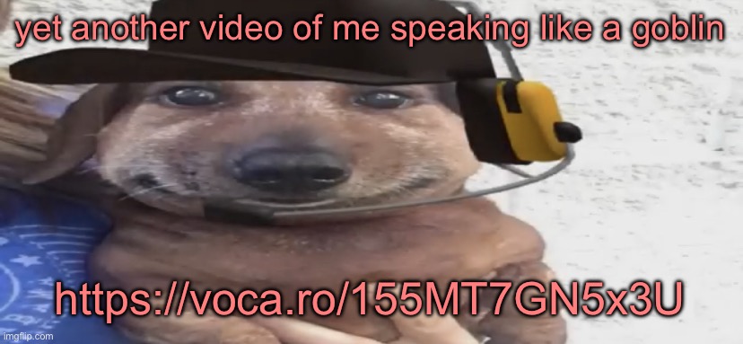 my voice sounds less annoying irl, i’m just speaking from the top of my throat | yet another video of me speaking like a goblin; https://voca.ro/155MT7GN5x3U | image tagged in chucklenuts | made w/ Imgflip meme maker