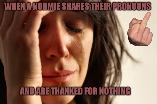 First World Problems Meme | WHEN A NORMIE SHARES THEIR PRONOUNS; AND ARE THANKED FOR NOTHING | image tagged in first world problems,normies,pronouns,political memes,bad memes,virtue signalling | made w/ Imgflip meme maker