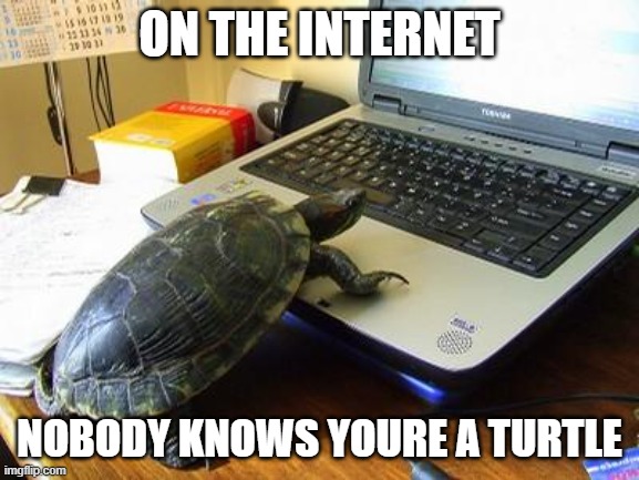 Turtle Computer | ON THE INTERNET; NOBODY KNOWS YOURE A TURTLE | image tagged in turtle computer | made w/ Imgflip meme maker