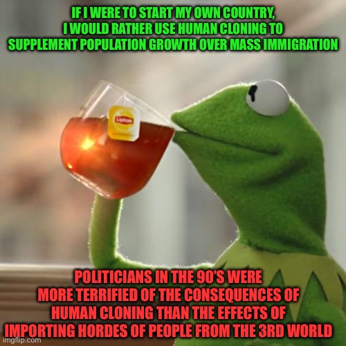 But That's None Of My Business | IF I WERE TO START MY OWN COUNTRY, I WOULD RATHER USE HUMAN CLONING TO SUPPLEMENT POPULATION GROWTH OVER MASS IMMIGRATION; POLITICIANS IN THE 90’S WERE MORE TERRIFIED OF THE CONSEQUENCES OF HUMAN CLONING THAN THE EFFECTS OF IMPORTING HORDES OF PEOPLE FROM THE 3RD WORLD | image tagged in memes,but that's none of my business,clones,immigration,politicians,population | made w/ Imgflip meme maker