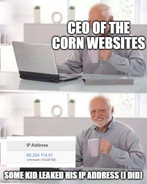 These sites have ruined countless lives. Now it's time for revenge. | CEO OF THE CORN WEBSITES; SOME KID LEAKED HIS IP ADDRESS (I DID) | image tagged in memes,hide the pain harold,pornhub,porn,revenge,ip address | made w/ Imgflip meme maker