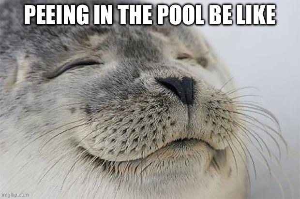 Satisfied Seal | PEEING IN THE POOL BE LIKE | image tagged in memes,satisfied seal | made w/ Imgflip meme maker