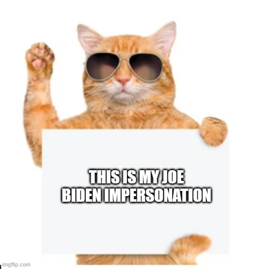 meme by Brad cat looks like Joe Biden | THIS IS MY JOE BIDEN IMPERSONATION | image tagged in cats,funny,joe biden,funny cat memes,humor,president_joe_biden | made w/ Imgflip meme maker