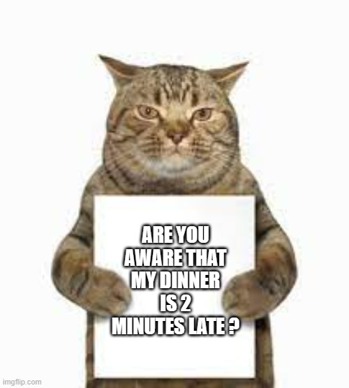 meme by Brad cats dinner is 2 minutes late | ARE YOU AWARE THAT MY DINNER IS 2 MINUTES LATE ? | image tagged in cats,funny,funny cat memes,humor,funny cats | made w/ Imgflip meme maker