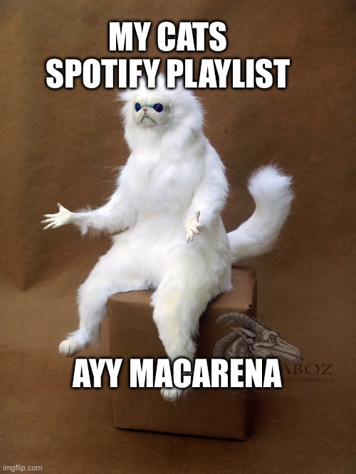 Persian Cat Room Guardian Single | MY CATS SPOTIFY PLAYLIST; AYY MACARENA | image tagged in memes,persian cat room guardian single | made w/ Imgflip meme maker