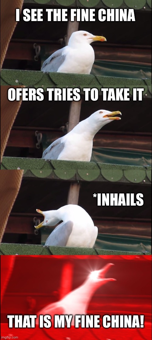 I SEE THE FINE CHINA OFERS TRIES TO TAKE IT *INHAILS THAT IS MY FINE CHINA! | image tagged in memes,inhaling seagull | made w/ Imgflip meme maker