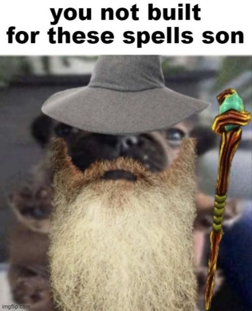 I HAVE INFILTRATED THIS STREAM WITH PIRATES AND WIZARDS. A GLORIOUS DAY THIS SHALL BE. | made w/ Imgflip meme maker