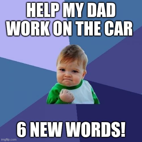 Success Kid Meme | HELP MY DAD WORK ON THE CAR; 6 NEW WORDS! | image tagged in memes,success kid | made w/ Imgflip meme maker