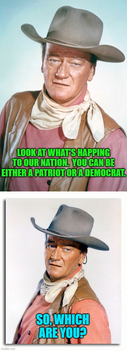 You can be one or the other . . . but not both. | LOOK AT WHAT'S HAPPING TO OUR NATION.  YOU CAN BE EITHER A PATRIOT OR A DEMOCRAT. SO, WHICH ARE YOU? | image tagged in yep | made w/ Imgflip meme maker