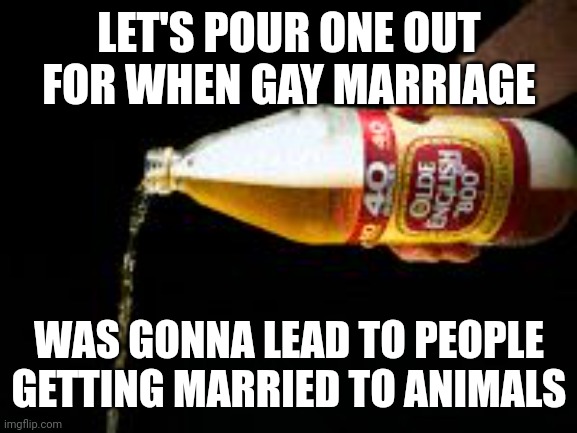 The right didn't even bother to Make Up instances & memes of it lol | LET'S POUR ONE OUT FOR WHEN GAY MARRIAGE; WAS GONNA LEAD TO PEOPLE GETTING MARRIED TO ANIMALS | image tagged in pour one out,lol,humor | made w/ Imgflip meme maker