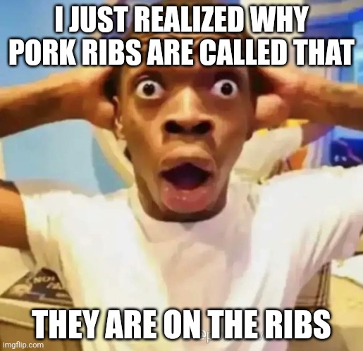 Shocked black guy | I JUST REALIZED WHY PORK RIBS ARE CALLED THAT; THEY ARE ON THE RIBS | image tagged in shocked black guy | made w/ Imgflip meme maker