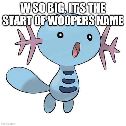 W | W SO BIG, IT’S THE START OF WOOPERS NAME | image tagged in oh wow are you actually reading these tags,shitpost | made w/ Imgflip meme maker