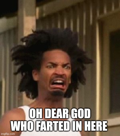 That Moment You Realized....... | OH DEAR GOD WHO FARTED IN HERE | image tagged in that moment you realized,fart,disgusted face | made w/ Imgflip meme maker