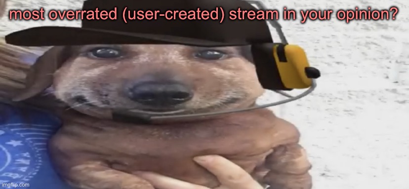 for me it’s Role_Play | most overrated (user-created) stream in your opinion? | image tagged in chucklenuts | made w/ Imgflip meme maker