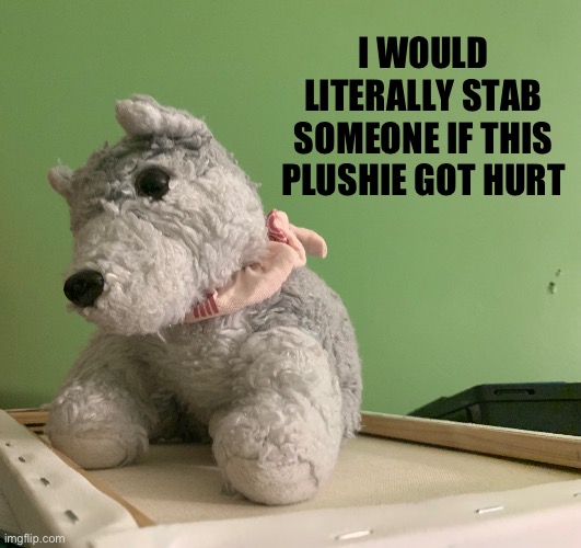 Ive had it for over 6 years | I WOULD LITERALLY STAB SOMEONE IF THIS PLUSHIE GOT HURT | made w/ Imgflip meme maker