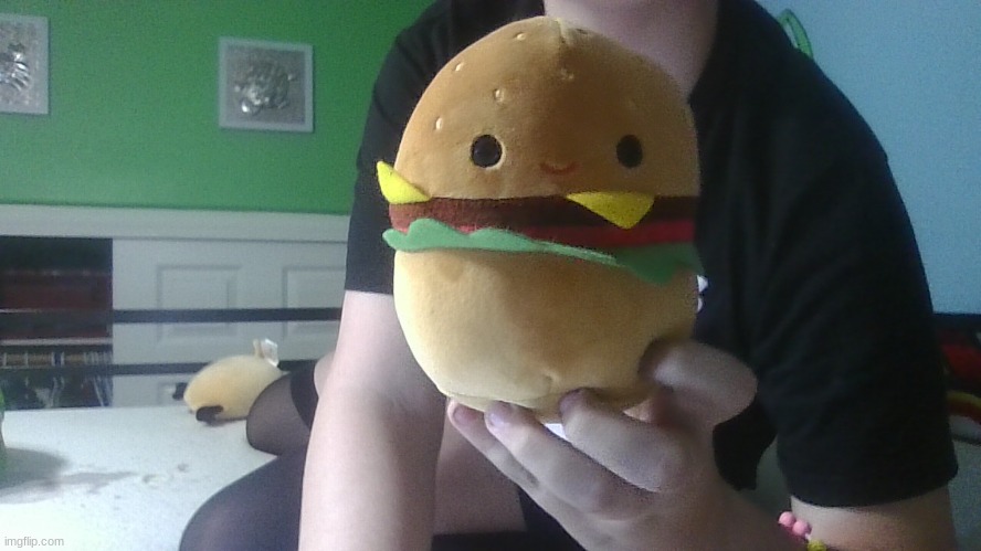 burber | image tagged in hamburger,burger | made w/ Imgflip meme maker