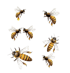 High Quality A Group of Bees Transparent PNG Blank Meme Template