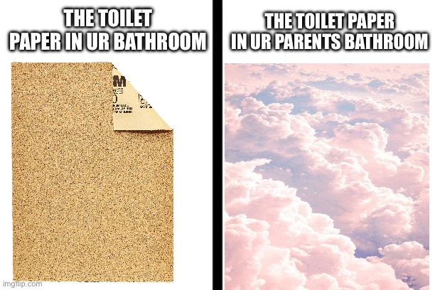 Toilet paper | THE TOILET PAPER IN UR PARENTS BATHROOM; THE TOILET PAPER IN UR BATHROOM | image tagged in split,toilet paper | made w/ Imgflip meme maker