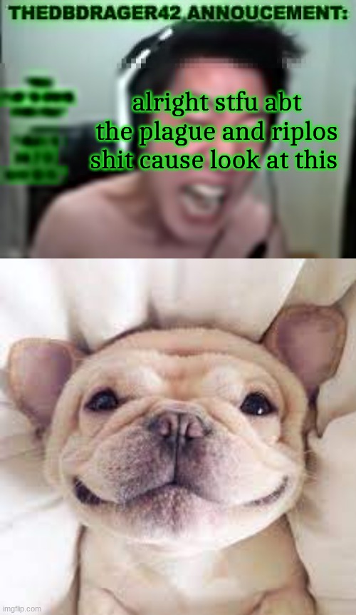 alright stfu abt the plague and riplos shit cause look at this | image tagged in thedbdrager42s annoucement template,a happy doggo | made w/ Imgflip meme maker