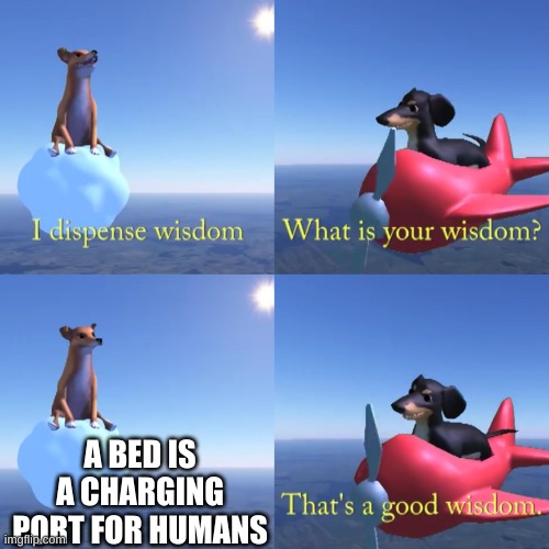 wisdom | A BED IS A CHARGING PORT FOR HUMANS | image tagged in that's a good wisdom | made w/ Imgflip meme maker