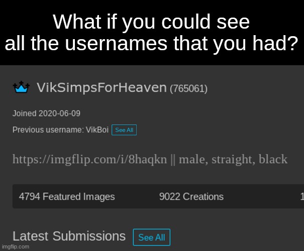 This would be SO HELPFUL to people like me | What if you could see all the usernames that you had? | image tagged in imgflip,usernames,everything,quality of life,extra,show more | made w/ Imgflip meme maker