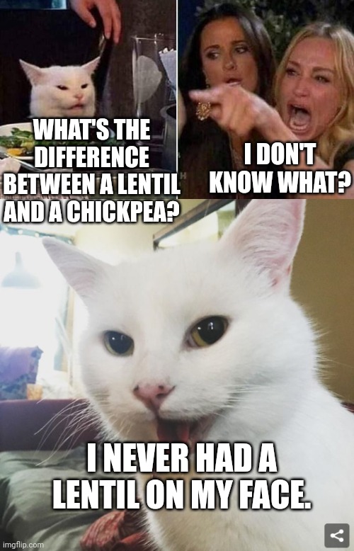 WHAT'S THE DIFFERENCE BETWEEN A LENTIL AND A CHICKPEA? I DON'T KNOW WHAT? I NEVER HAD A LENTIL ON MY FACE. | image tagged in reverse smudge and karen,smudge | made w/ Imgflip meme maker